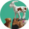 playmobil animales