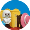 playmobil victoriano