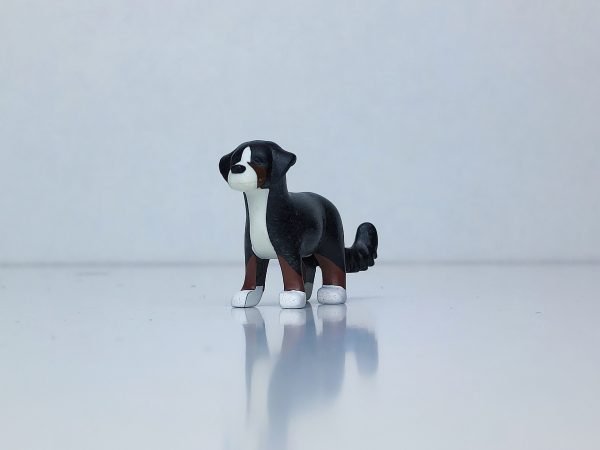 Perrito blanco negro