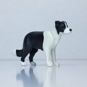 Perro labrador en color blanco y negro