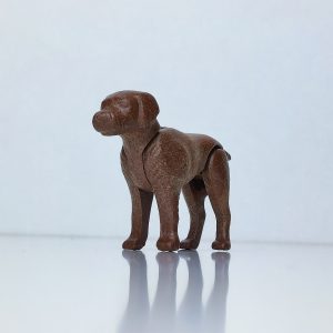 Perro labrador de color marrón