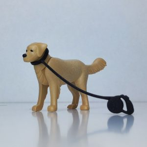Perro labrador color beige con correa