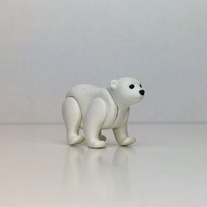 Cría de oso polar