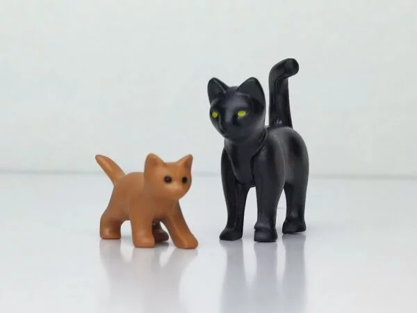 Lote de 2 gatos adulto negro con cría de color marrón