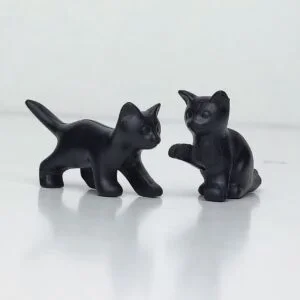 Lote de 2 crías de gatos de color negro
