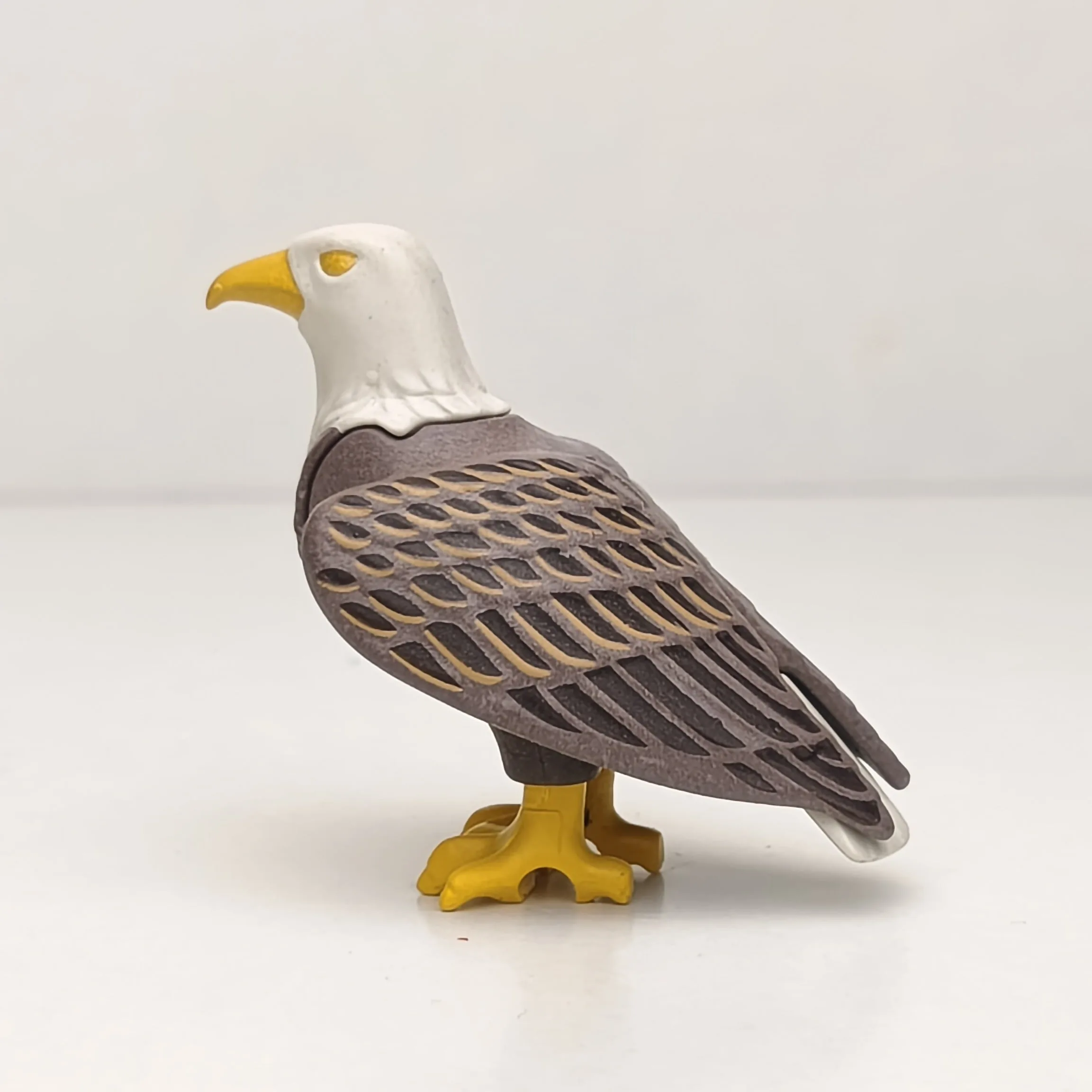 Águila imperial con las plumas pintadas